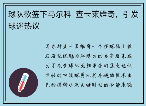球队欲签下马尔科-查卡莱维奇，引发球迷热议